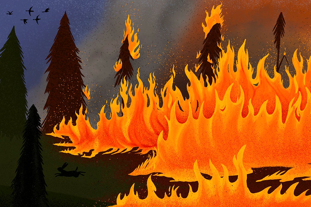 An illustration of a forest consumed by fire as animals flee.