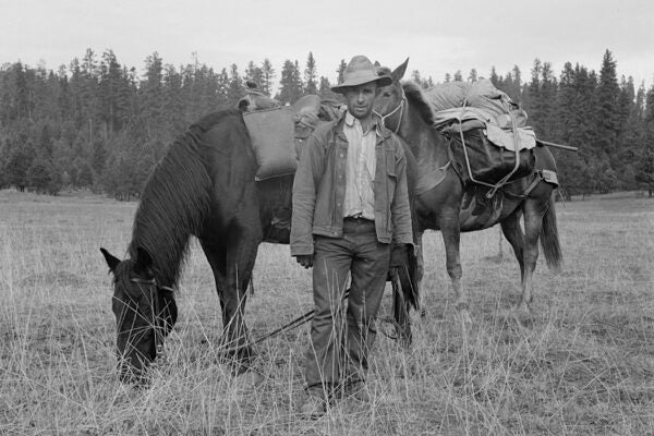 Basque sheep herder in Adams County, Idaho, photographed by Dorothea Lange, 1939