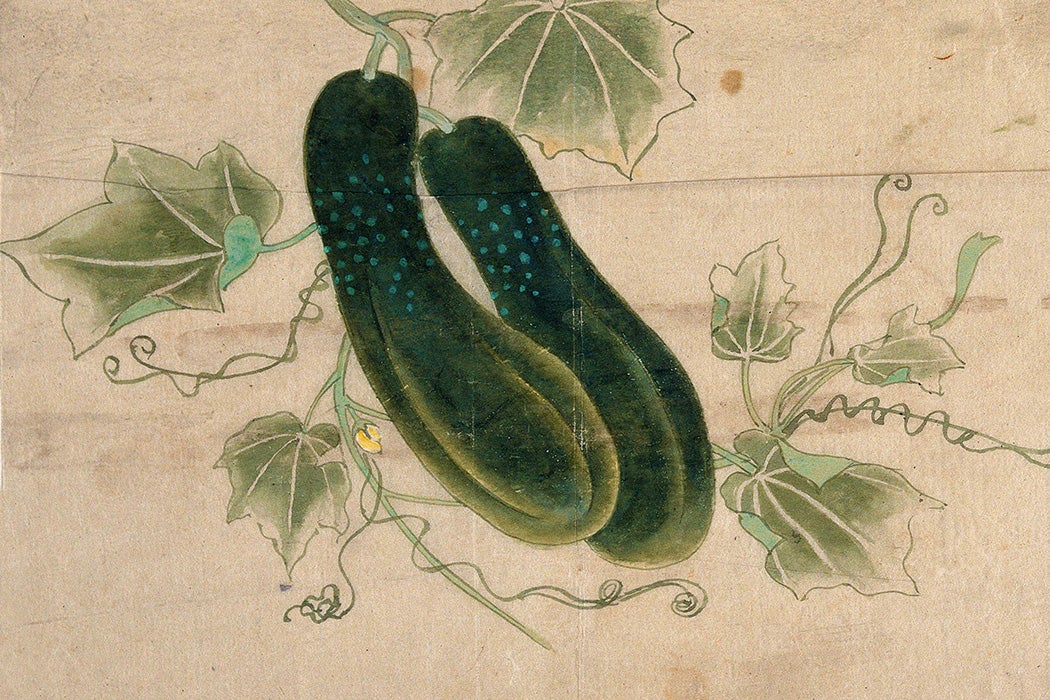 Two dill cucumbers. Watercolour painting by a Chinese artist