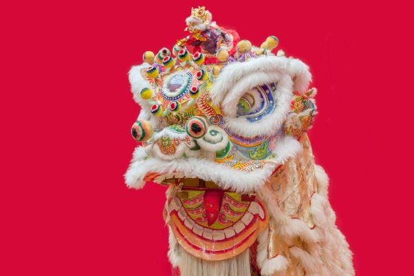 Lion Dance Costume used during Chinese New Year