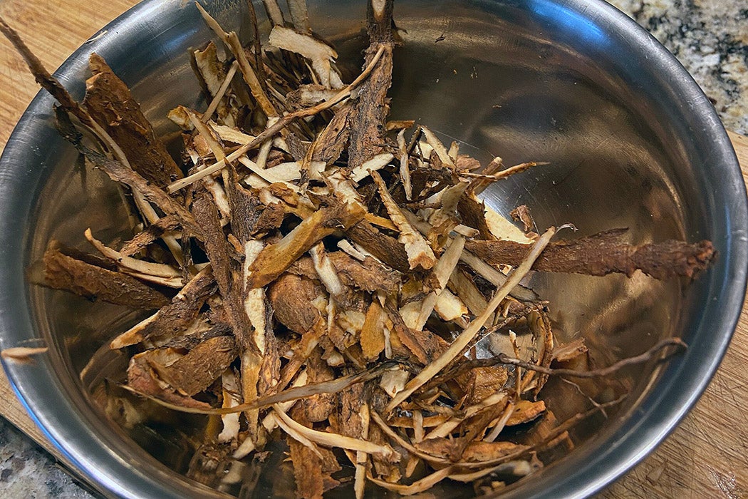 Peeled sassafras root via Wikimedia Commons