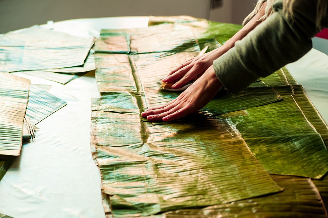 woman hands preparing banana leaves for hallaca a venezuelan christmas dish