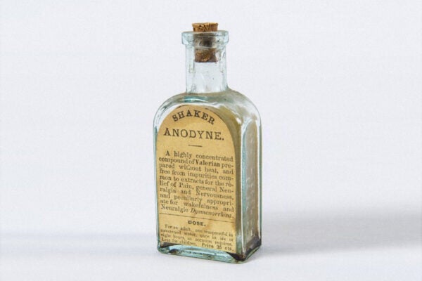 A bottle of Shaker Anodyne from Enfield Shaker Village in New Hampshire