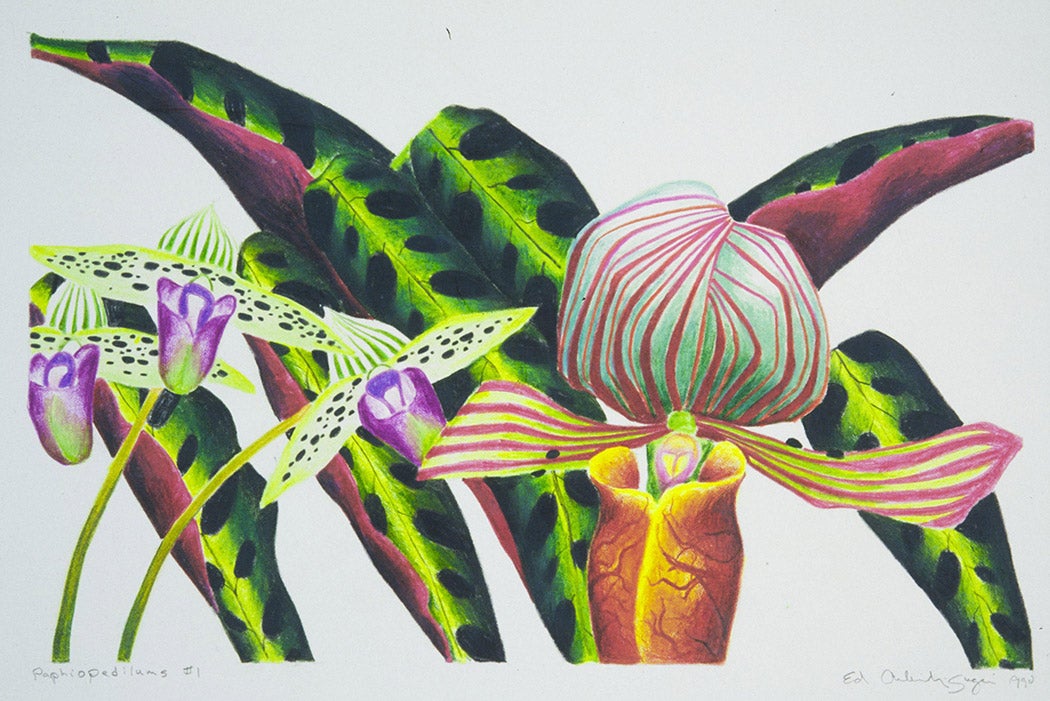 A painting of flowers