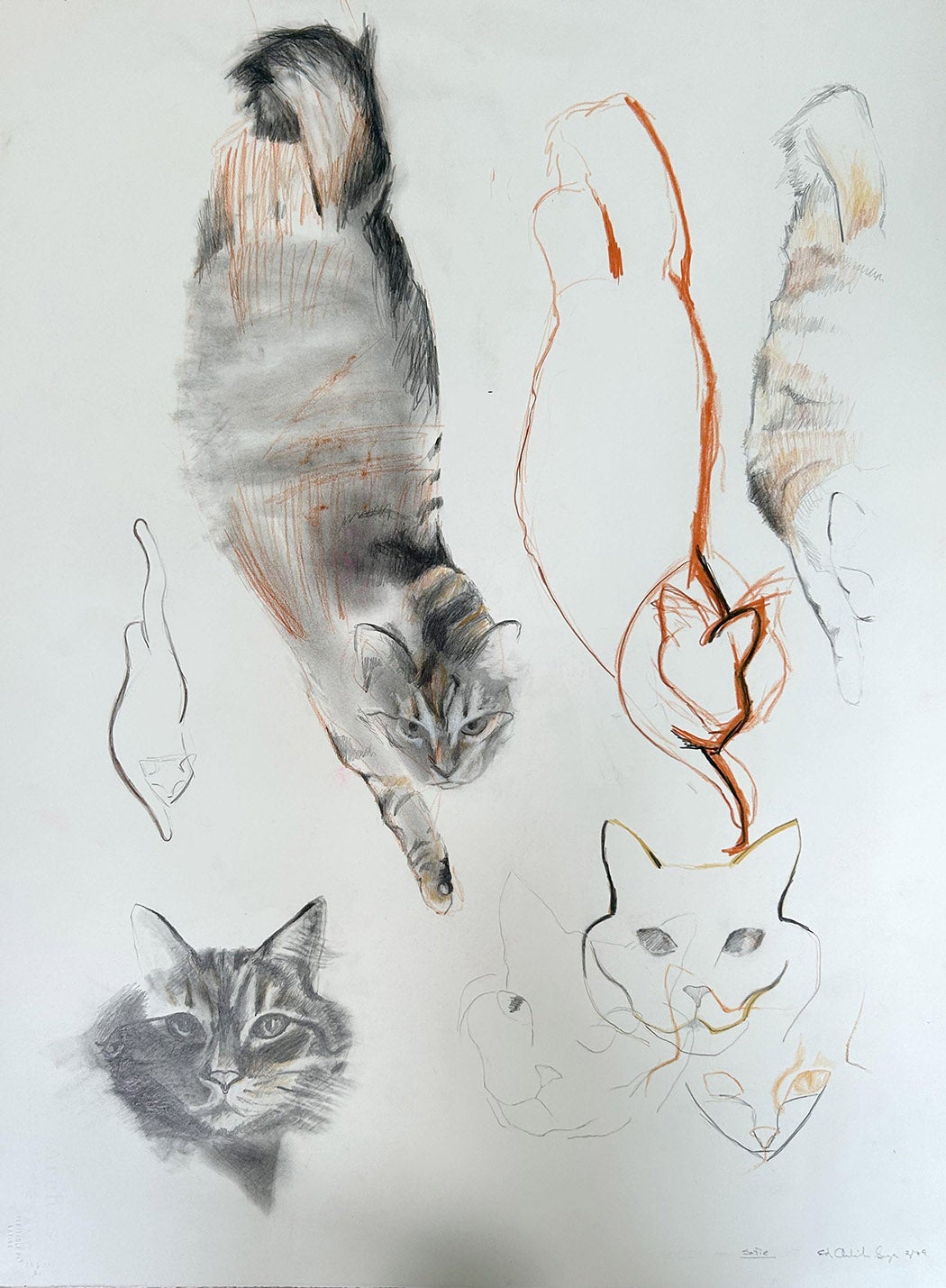 Sofie (Cat sketches), 1989