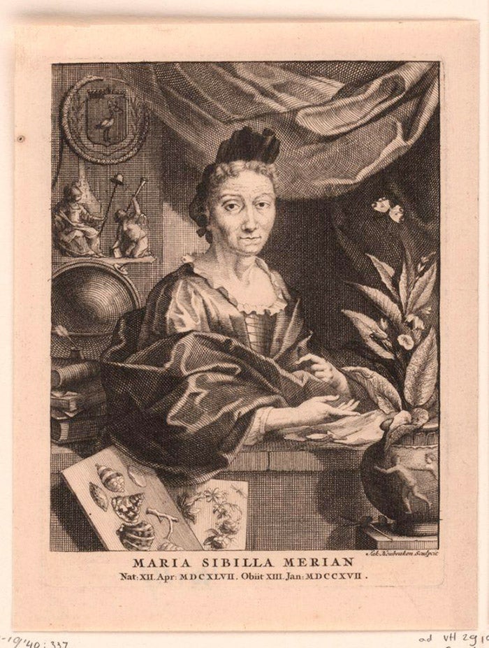 Portrait of Maria Sibylla Merian