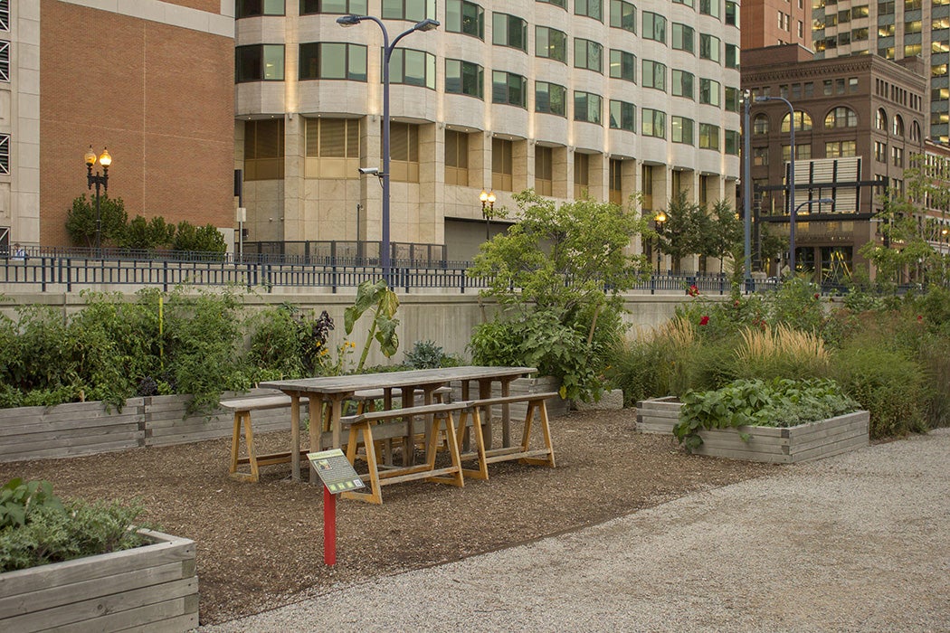 Dewey Square Park The view is parallel to Purchase Street. There are small beds of perennials and trees as well as raised garden beds.