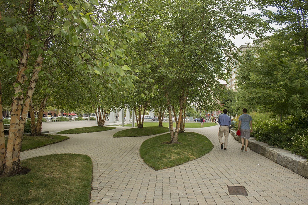 Wharf District Parks View of walkways and birch trees. Behind the birch trees is a large lawn (also referred to as the Great Room) with lighting structures (Light Blades).