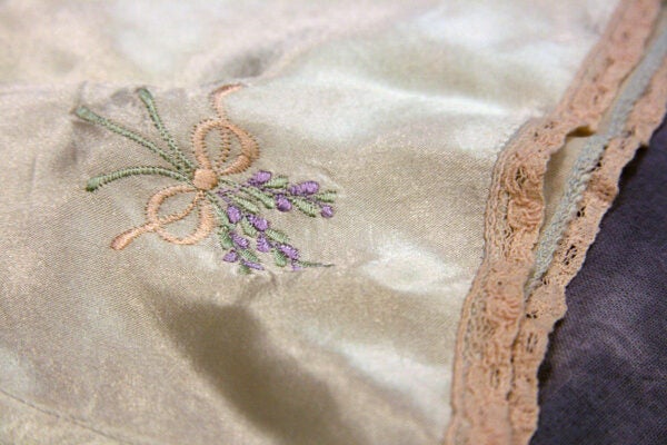 Blue Embroidered Panties from the 1930s courtesy University of Wyoming