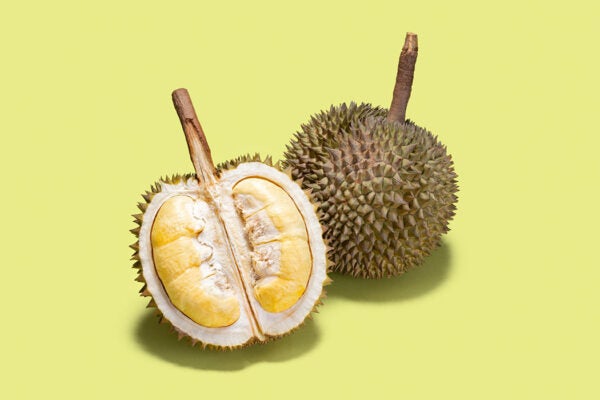 Opened Durian Tropical Fruit on Green Colored Background.