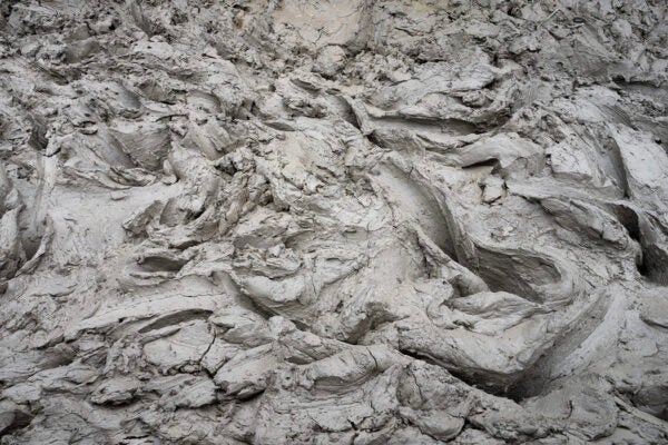 A close-up shot of a patch of muddy earth, showing the texture and detail of the mud. The mud is grey and lumpy, with some areas that are more smooth and others that are more cracked and dry.